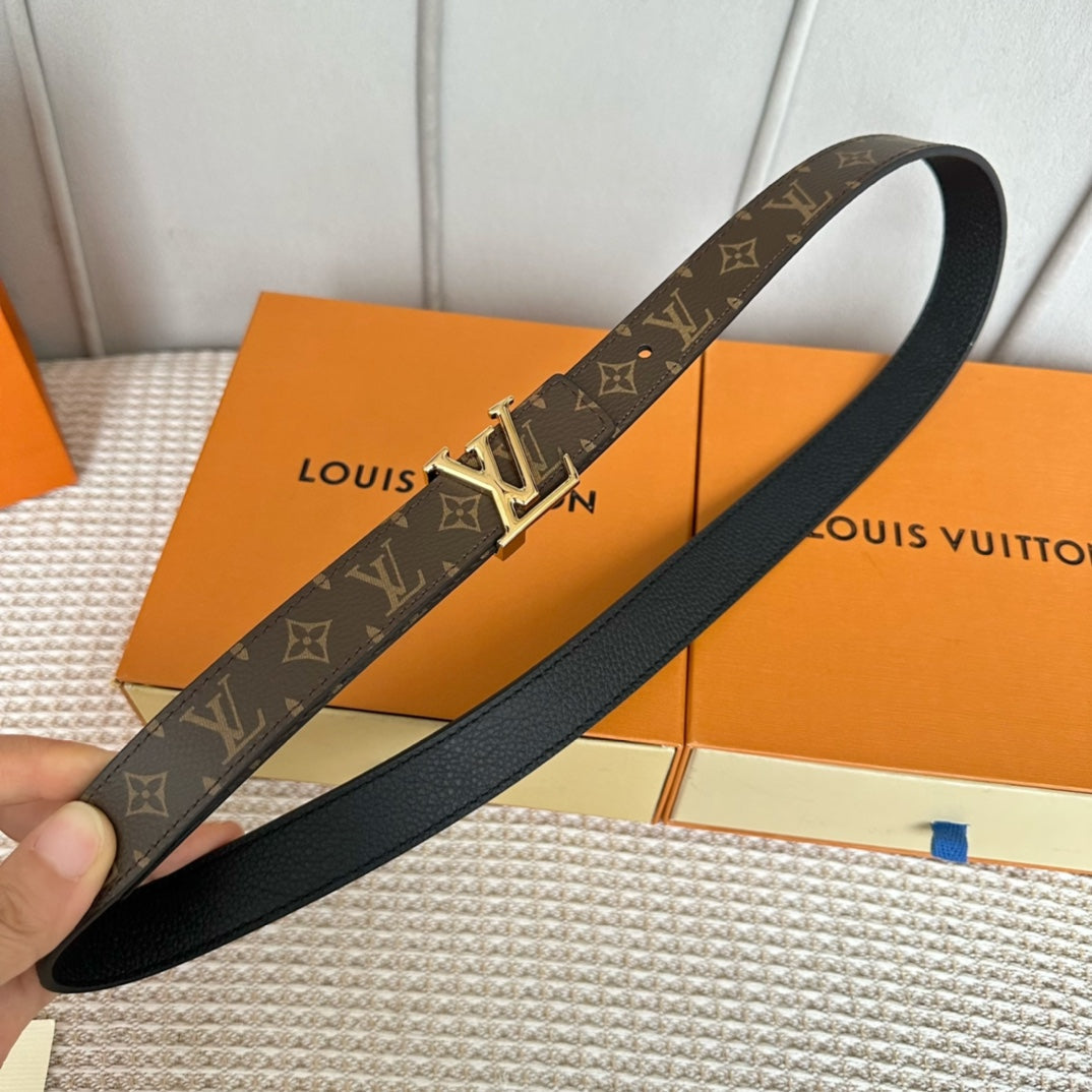 LOUIS VUITTON LV ICONIC 25 MM IN BROWN DAMIER CALFSKIN SILVER HARDWARE